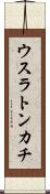ウスラトンカチ Scroll