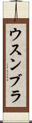 ウスンブラ Scroll