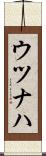 ウツナハ Scroll