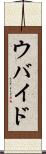 ウバイド Scroll