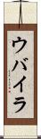 ウバイラ Scroll