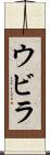 ウビラ Scroll