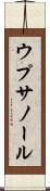 ウプサノール Scroll