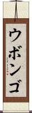 ウボンゴ Scroll