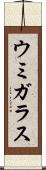 ウミガラス Scroll