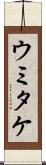 ウミタケ Scroll