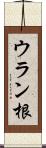 ウラン根 Scroll