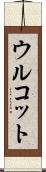 ウルコット Scroll