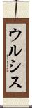 ウルシス Scroll