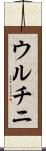 ウルチニ Scroll