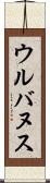 ウルバヌス Scroll