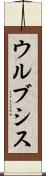 ウルブシス Scroll