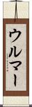ウルマー Scroll