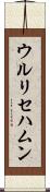 ウルリセハムン Scroll