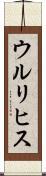 ウルリヒス Scroll