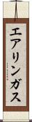 エアリンガス Scroll