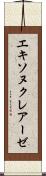 エキソヌクレアーゼ Scroll