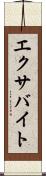 エクサバイト Scroll