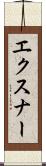 エクスナー Scroll