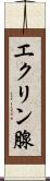 エクリン腺 Scroll