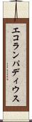 エコランパディウス Scroll