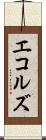 エコルズ Scroll