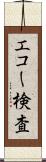 エコー検査 Scroll