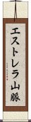 エストレラ山脈 Scroll
