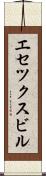 エセツクスビル Scroll