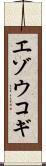 エゾウコギ Scroll