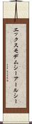 エックスモデムシーアールシー Scroll
