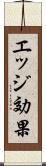 エッジ効果 Scroll