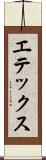 エテックス Scroll