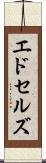 エドセルズ Scroll