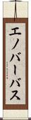 エノバーバス Scroll