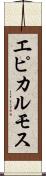 エピカルモス Scroll
