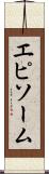 エピソーム Scroll