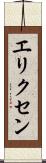 エリクセン Scroll