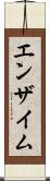 エンザイム Scroll