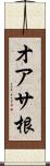 オアサ根 Scroll