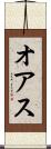 オアス Scroll