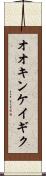 オオキンケイギク Scroll