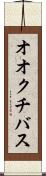 オオクチバス Scroll