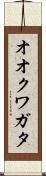 オオクワガタ Scroll
