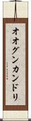 オオグンカンドリ Scroll