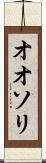 オオソリ Scroll