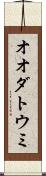 オオダトウミ Scroll