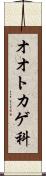 オオトカゲ科 Scroll