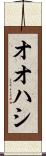 オオハシ Scroll