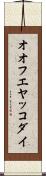 オオフエヤッコダイ Scroll